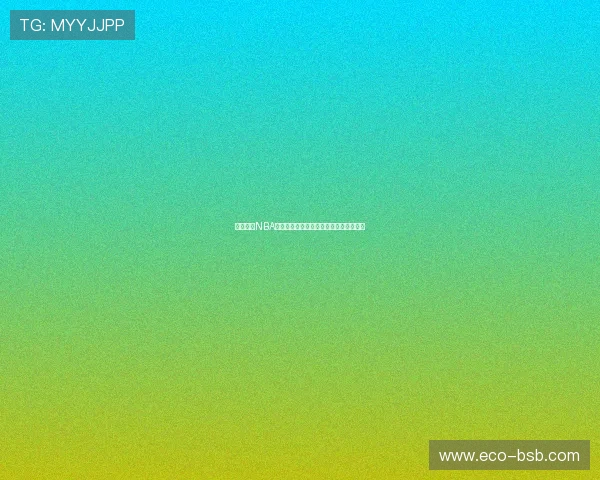 燕雨直播NBA高清流畅观看体验尽享精彩赛事实时更新